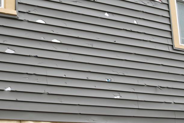 Best Siding Removal and Disposal  in Jasper, AL