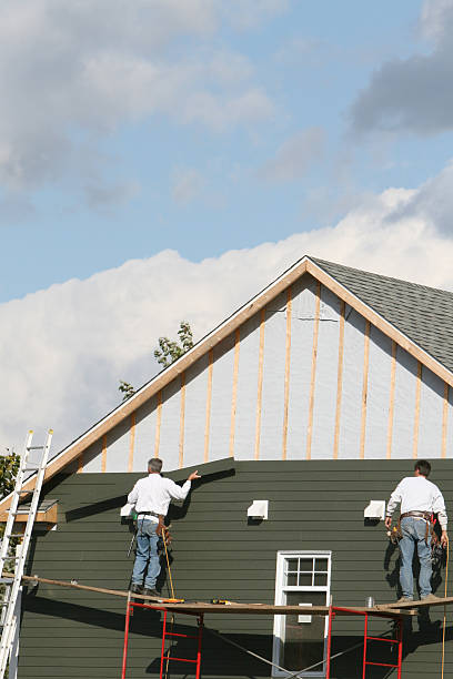 Best Custom Siding Design  in Jasper, AL